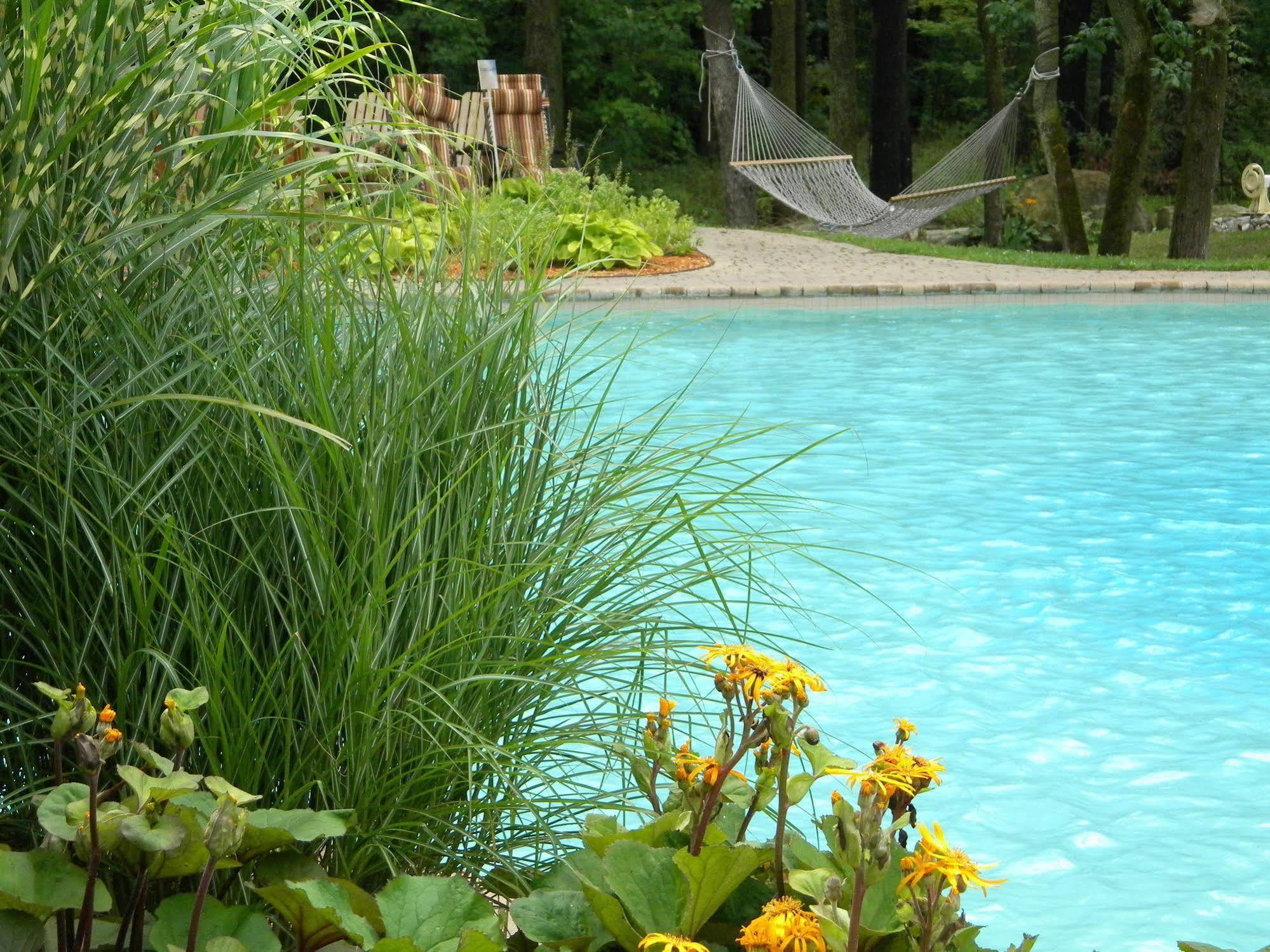 Hotel L'Oasis De L'Ile Saint-Eustache Esterno foto